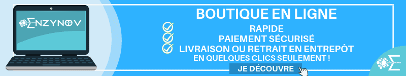 boutique en ligne